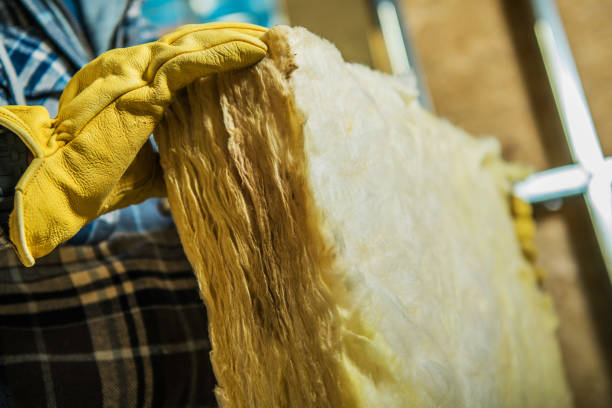 Best Eco-Friendly Insulation in Jamestown, ND