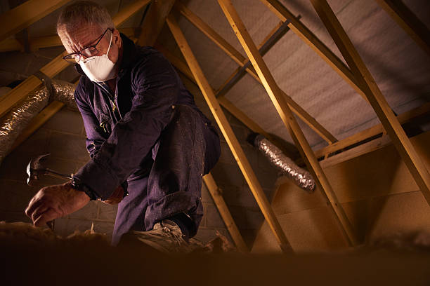 Best Residential Insulation in Jamestown, ND